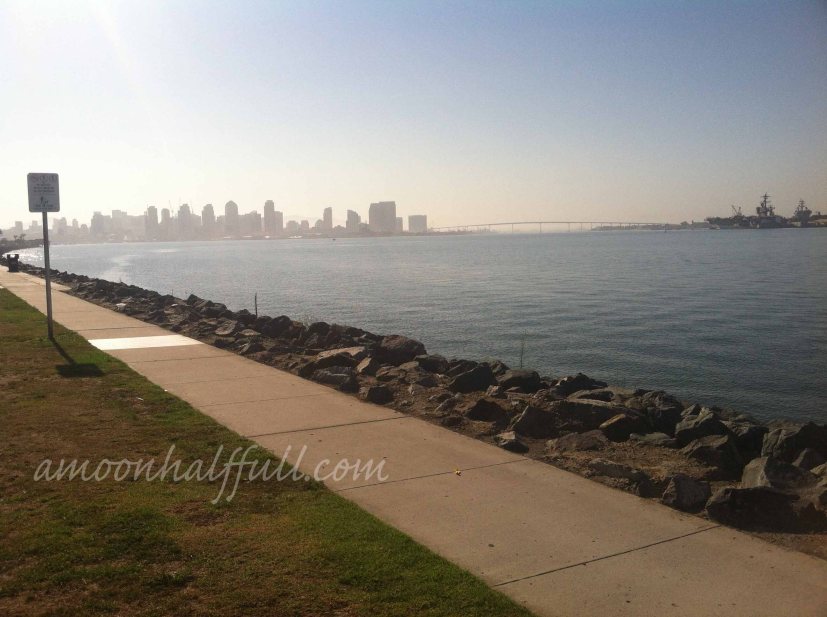 AFC Downtown skyline and coronado bridge